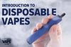 Introduction to Disposable Vapes.